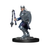 Wizkids D&D Unpainted Minis Wv14 Kalashtar Cleric Female