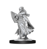 Wizkids D&D Unpainted Minis Wv14 Kalashtar Cleric Female
