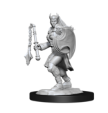 Wizkids D&D Unpainted Minis Wv14 Kalashtar Cleric Female