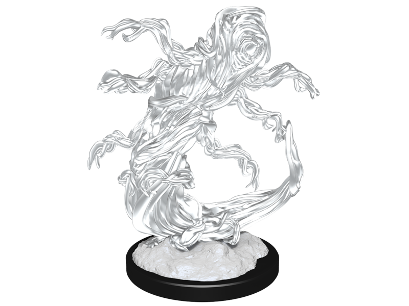 Wizkids D&D Unpainted Minis Wv14 Tsucora/hashalaq Quori