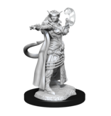 Wizkids D&D Unpainted Minis Wv15 Tiefling Sorcerer Female