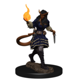 Wizkids D&D Unpainted Minis Wv15 Tiefling Sorcerer Female