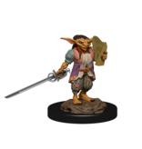 Wizkids D&D Unpainted Minis Wv15 Male Rogue/female Bard