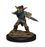 Wizkids D&D Unpainted Minis Wv15 Male Rogue/female Bard