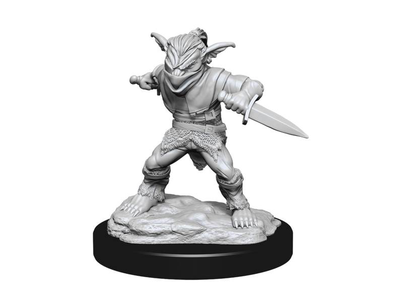 Wizkids D&D Unpainted Minis Wv15 Male Rogue/female Bard