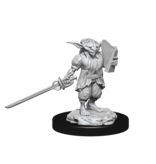 Wizkids D&D Unpainted Minis Wv15 Male Rogue/female Bard