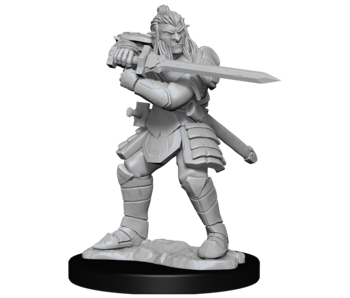 D&D Unpainted Minis Wv15 Hobgoblin Male And Female
