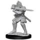 D&D Unpainted Minis Wv15 Hobgoblin Male And Female