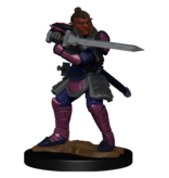 Wizkids D&D Unpainted Minis Wv15 Hobgoblin Male And Female