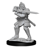 Wizkids D&D Unpainted Minis Wv15 Hobgoblin Male And Female