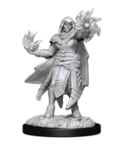 Wizkids D&D Unpainted Minis Wv15 Hobgoblin Male And Female