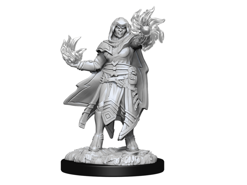 Wizkids D&D Unpainted Minis Wv15 Hobgoblin Male And Female