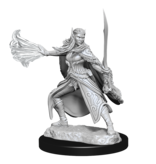 Wizkids D&D Unpainted Minis Wv15 Winter And Spring Eladrin