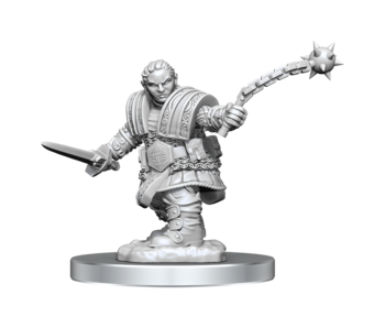 D&D Unpainted Minis Wv16 Dwarf Fighter Female