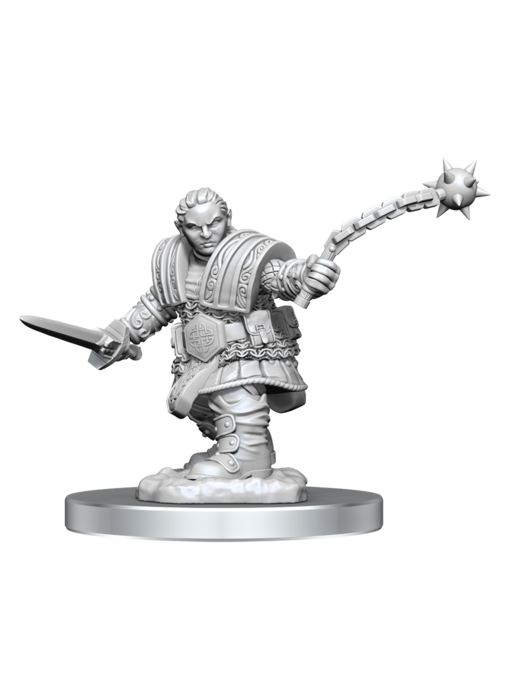 D&D Unpainted Minis Wv16 Dwarf Fighter Female