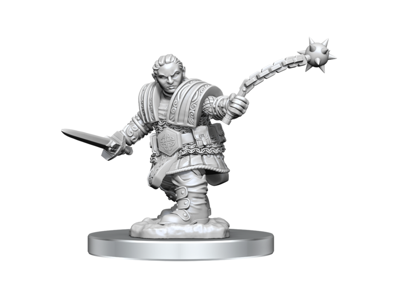 Wizkids D&D Unpainted Minis Wv16 Dwarf Fighter Female