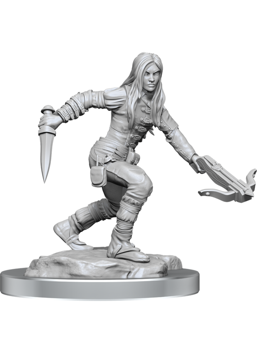 D&D Unpainted Minis Wv17 Half-elf Rogue Female