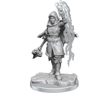 D&D Unpainted Minis Wv20 Half-elf Warlock