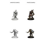 Wizkids D&D Unpainted Minis Wv3 Human Male Paladin