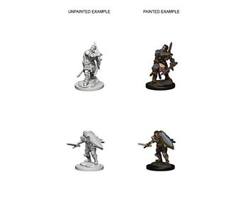 D&D Unpainted Minis Wv3 Human Male Paladin