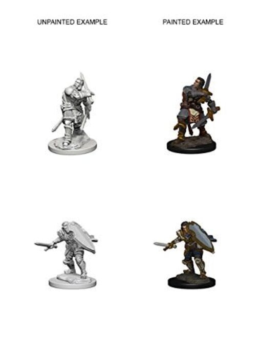 D&D Unpainted Minis Wv3 Human Male Paladin
