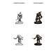 D&D Unpainted Minis Wv3 Human Male Paladin