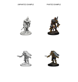Wizkids D&D Unpainted Minis Wv3 Human Male Paladin