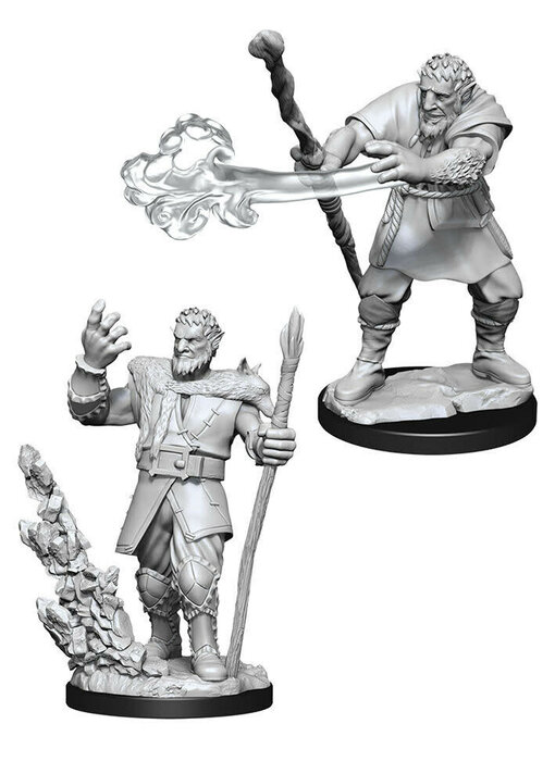 D&D Unpainted Minis Wv11 Male Firbolg Druid