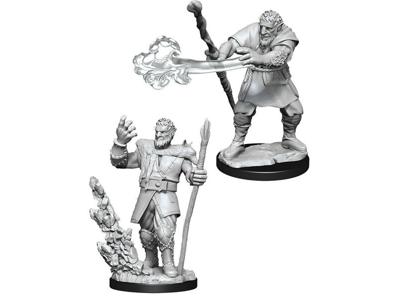 Wizkids D&D Unpainted Minis Wv11 Male Firbolg Druid