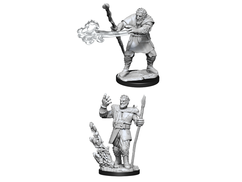 Wizkids D&D Unpainted Minis Wv11 Male Firbolg Druid