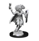 Wizkids D&D Unpainted Minis Wv14 Changeling Cleric Male