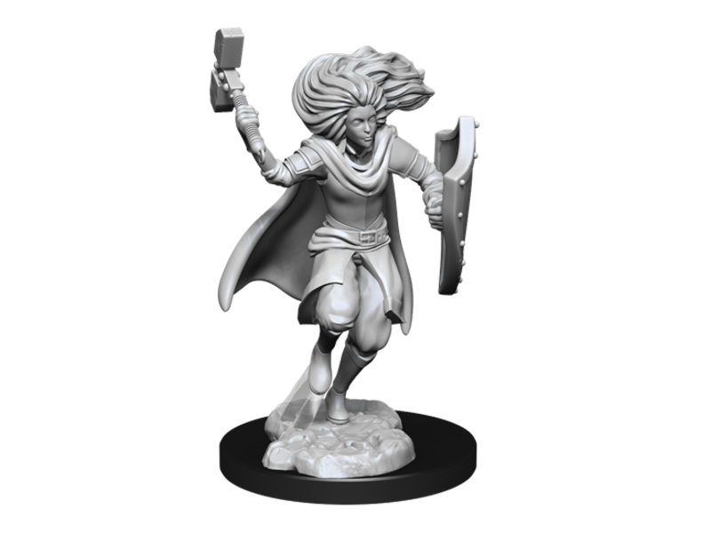 Wizkids D&D Unpainted Minis Wv14 Changeling Cleric Male