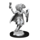 D&D Unpainted Minis Wv14 Changeling Cleric Male