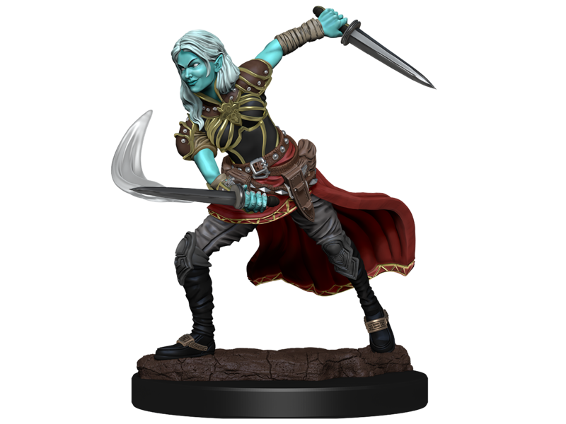 Wizkids D&D Unpainted Minis Wv15 Air Genasi Female