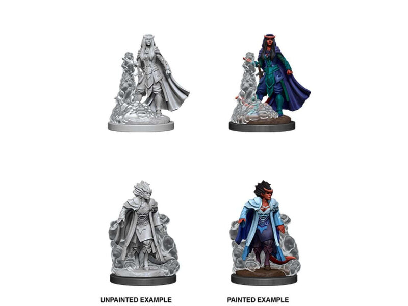 Wizkids D&D Unpainted Minis Wv12 Female Tiefling Sorcerer