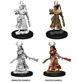 Wizkids D&D Unpainted Minis Wv9 Female Human Druid