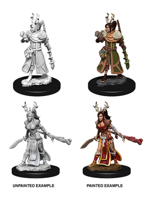 D&D Unpainted Minis Wv9 Female Human Druid
