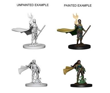 D&D Unpainted Minis Wv4 Elf Female Druid