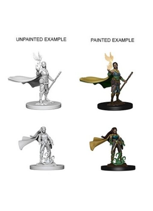 D&D Unpainted Minis Wv4 Elf Female Druid