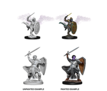 D&D Unpainted Minis Wv5 Aasimar Male Paladin