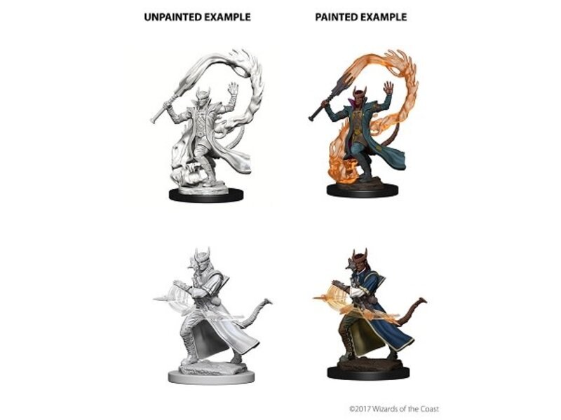 Wizkids D&D Unpainted Minis Wv4 Tiefling Male Sorcerer