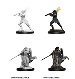 Wizkids D&D Unpainted Minis Wv10 Female Human Paladin