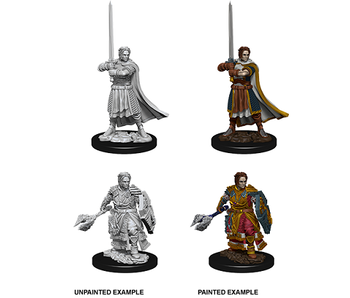 D&D Unpainted Minis Wv8 Male Human Cleric