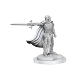 Wizkids D&D Unpainted Minis Wv20 Death Knights