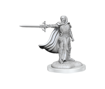 D&D Unpainted Minis Wv20 Death Knights