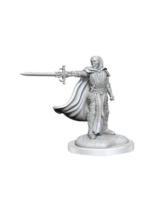 D&D Unpainted Minis Wv20 Death Knights