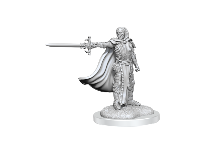 Wizkids D&D Unpainted Minis Wv20 Death Knights