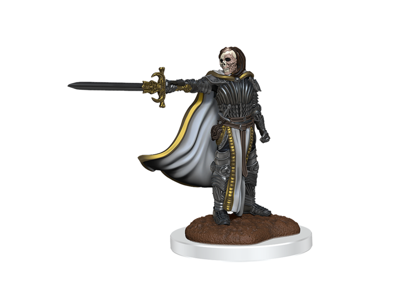 Wizkids D&D Unpainted Minis Wv20 Death Knights