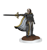 Wizkids D&D Unpainted Minis Wv20 Death Knights