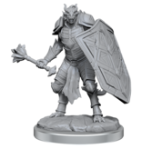 Wizkids D&D Unpainted Minis Wv18 Dragonborn Clerics